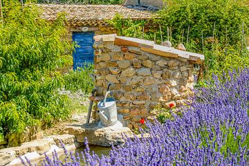 Droomtuin in de Drôme provençale van Hilke Maunder