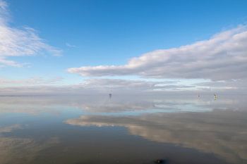 Die Sier nähert sich auf dem Wattenmeer