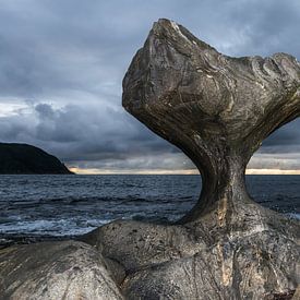 Kannesteinen in Maloy by Gerry van Roosmalen