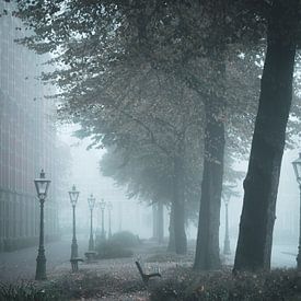 Mist in Leiden van Teun de Leede