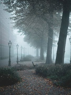 Fog in Leiden by Teun de Leede