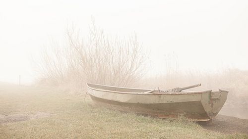 Early in the morning