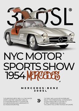 Mercedes Benz 300SL by Ali Firdaus