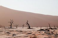 Die Toten im Sossusvlei Nationalpark, Namibia von Maartje Kikkert Miniaturansicht