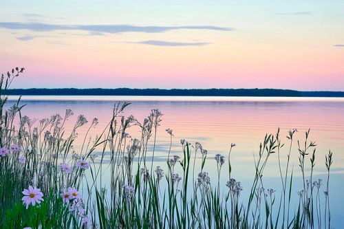 Lac et fleurs