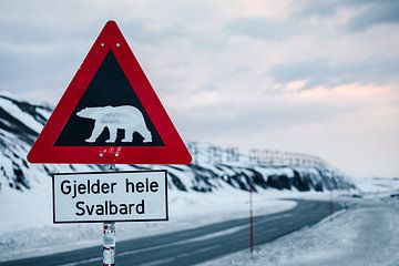 Polar bear road sign in Longyearbyen by Martijn Smeets