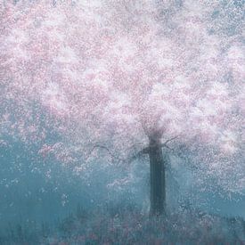 Traum von rosa Blüten von Yanuschka | Fotografie Noordwijk