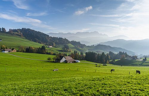 Appenzellerland met uitzicht op de Säntis, Zwitserland