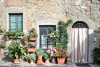 Kleurrijke Mediterraanse gevel vol planten | Reisfotografie, pastelkleuren