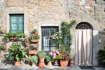 Farbenfrohe, mediterrane Fassade voller Pflanzen | Reisefotografie von Monique Tekstra-van Lochem