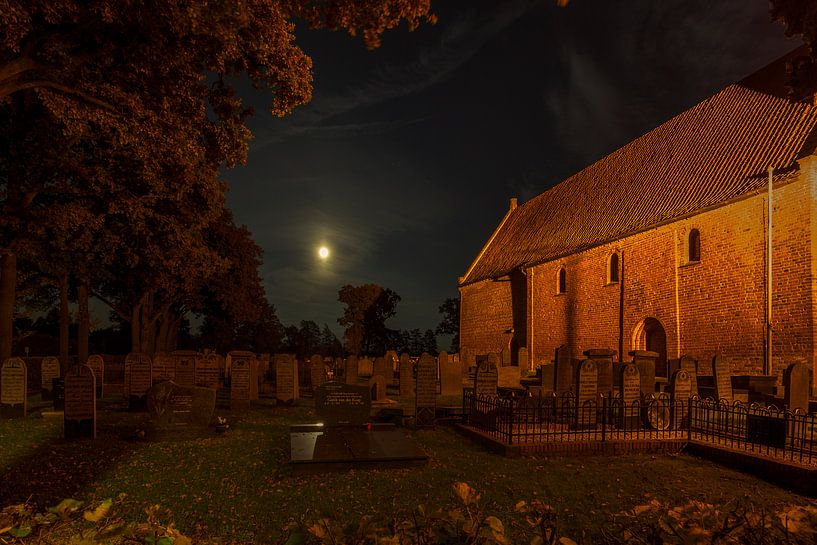 Full Moon above the graveyard par Wil de Boer