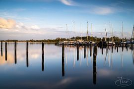 Lines Spiel im Hafen von Tina Linssen