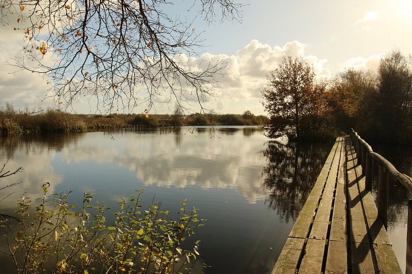 Vue sur la réserve naturelle De Deelen par Pim van der Horst