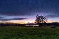 Uitzicht over de weilanden naar de Froschhauser See en de Riegsee bij zonsopgang
