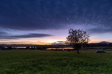 Vue sur le lac de Froschhauser et le lac de Rieg à l'aube. sur Christina Bauer Photos