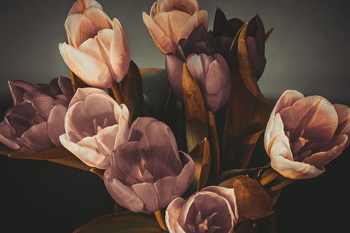 Vintage tulips