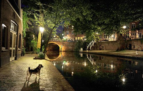 Alte Gracht in Utrecht