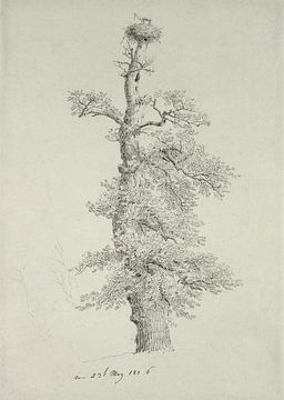 Caspar David Friedrich,Oude Eiken Boom met een Storks Nest Teken
