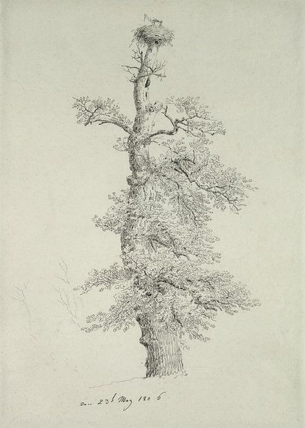 Caspar David Friedrich,Ancient Oak Tree with a Storks Nest Sign by finemasterpiece