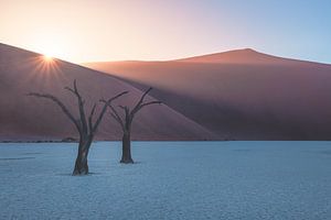 Namibie Deadvlei Lever de soleil