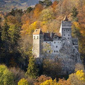 Schloss Bran mit Herbstfarben von Sander Groenendijk