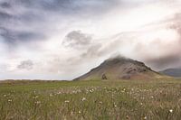 Landschap