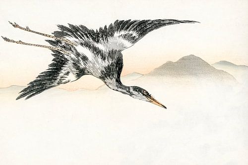 Japan Vogelvlucht bij zonsopgang