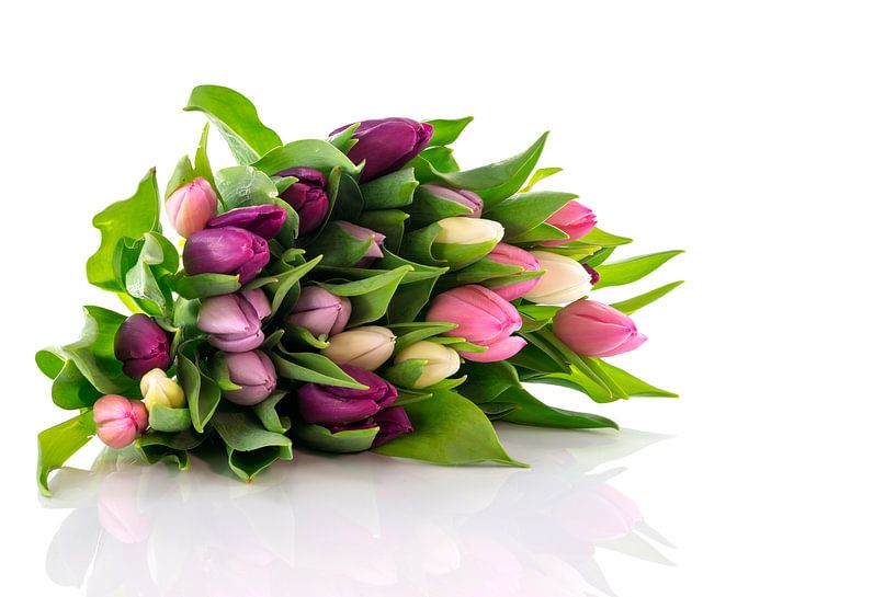 bos gekleurde tulpen par ChrisWillemsen