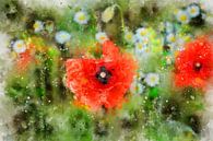 Rode maïspapaver - bloemen van Claudia Evans thumbnail