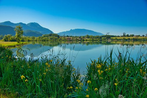 Le Rhône dans le Bugey en France