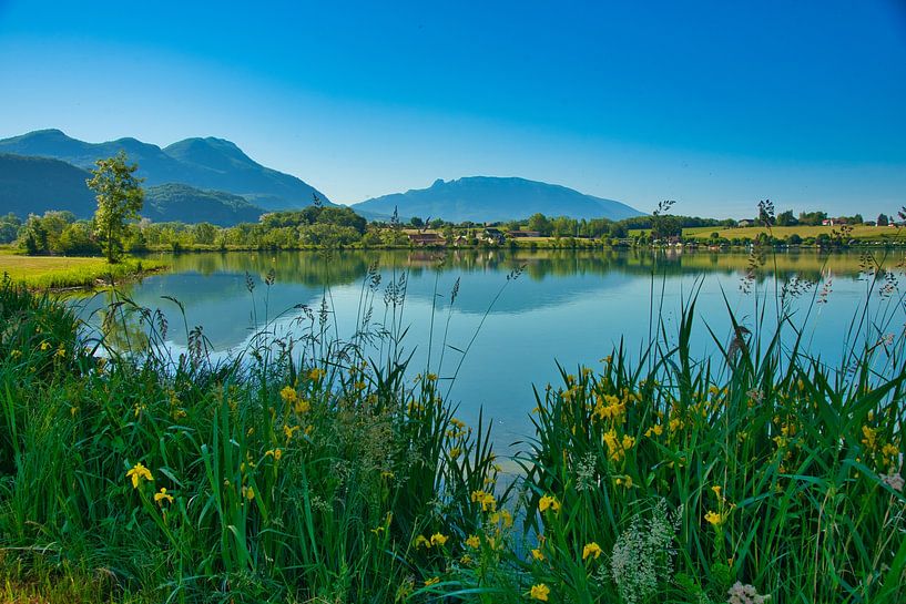 Die Rhone im Bugey in Frankreich von Tanja Voigt