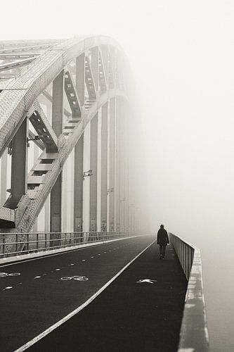 Wandeling  in de mist van Sam Elbertsen