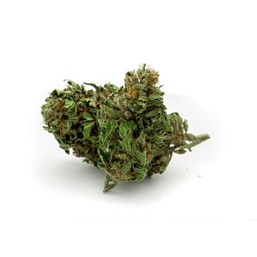 CBD Cannabisbloesem van Felix Brönnimann