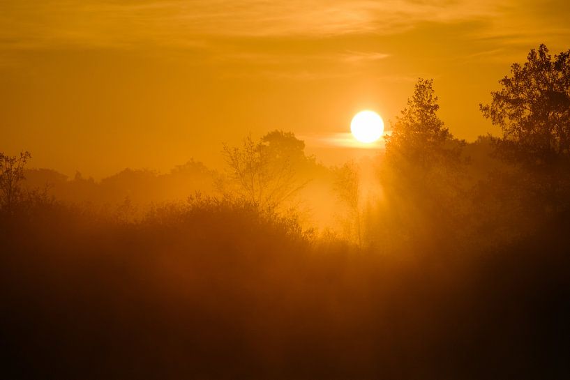 Dämmerung von Rene Wolf