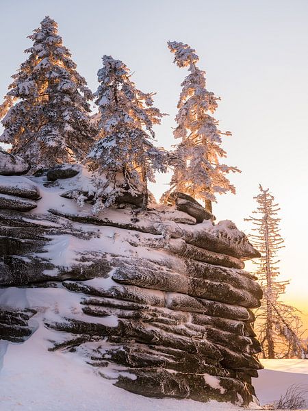 Sunset in the Bavarian Forest by Denis Feiner