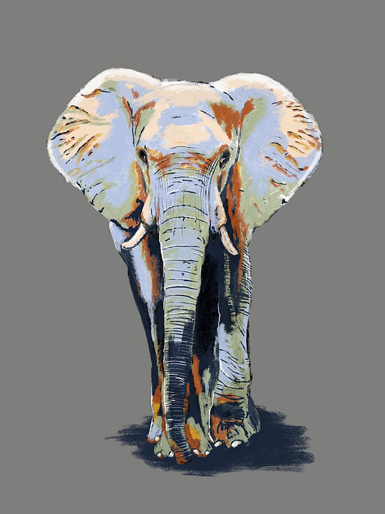 Elefant von <span class="secondary-font">Studio Carper</span>