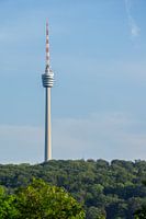 Duitsland, Televisietoren van Stuttgart in groen bos
