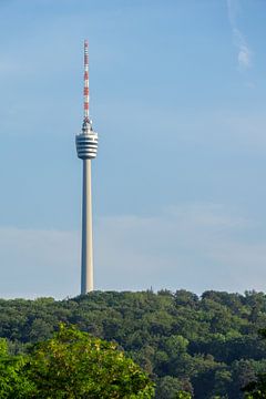 Deutschland, Stuttgarter Fernsehturm im grünen Wald von adventure-photos