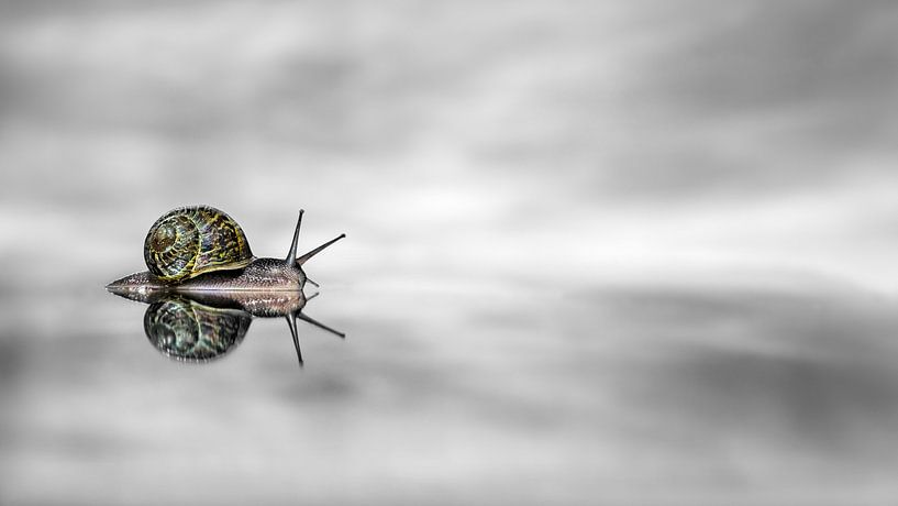 "Le silence en mouvement par Nordwin Alberts / Moving Stills