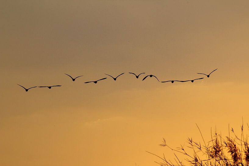 sunset by Marieke Funke