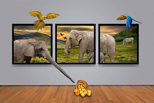 Afrika Galerie