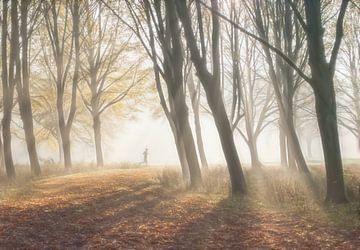 Runner in the forest  by Marcel van Balken