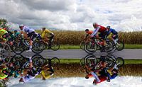 Fabio Jakobsen, the rain clouds, cornfields and the first win in his star jersey. by FreddyFinn thumbnail