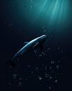 Dolfijn Onderwater met Lichtstralen van Roman Robroek thumbnail