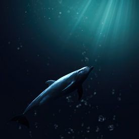 Unterwasserdelfin mit Lichtstrahlen von Roman Robroek – Fotos verlassener Gebäude