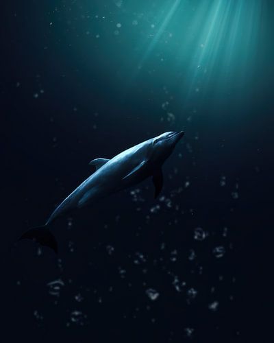 Dolphin Underwater with Beams of Light