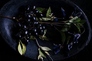 La beauté de l'impermanence