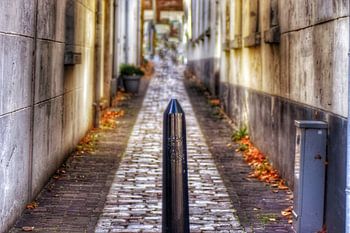 Een Schiedammertje in een steegje in Schiedam.