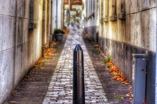 Een Schiedammertje in een steegje in Schiedam.