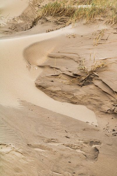 Traces of sand by Anna Thiessen
